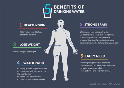 The Long-Term Health Benefits of Drinking Water